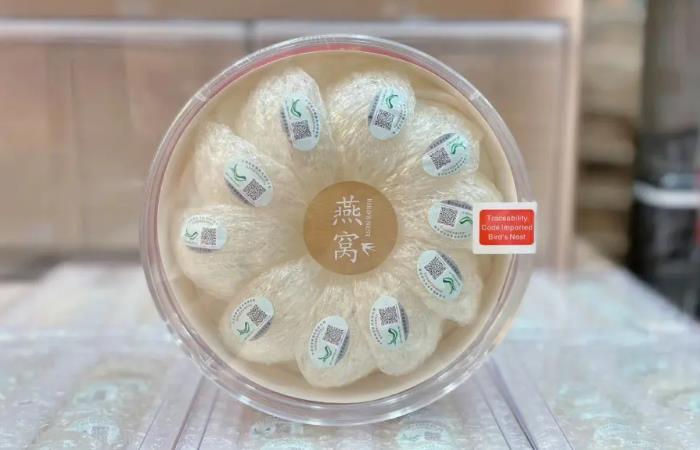 浩口原种场燕窝回收